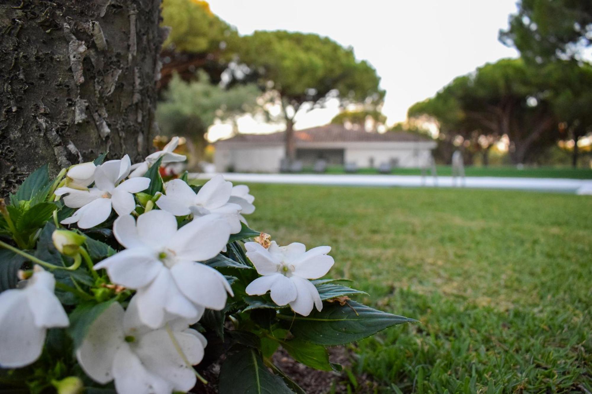La Tortuga Casa de Férias Chiclana de la Frontera